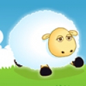 Sheep Physics